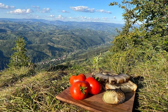 Transfer Bucharest -Brasov with Targoviste and Bran Castle visits - Price and Logistics: What You Pay For at $190.81