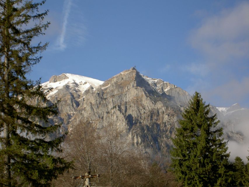 Transylvania: Cultural Full-Day Trip by Minivan - Quick hits: what makes this Transylvania day tick