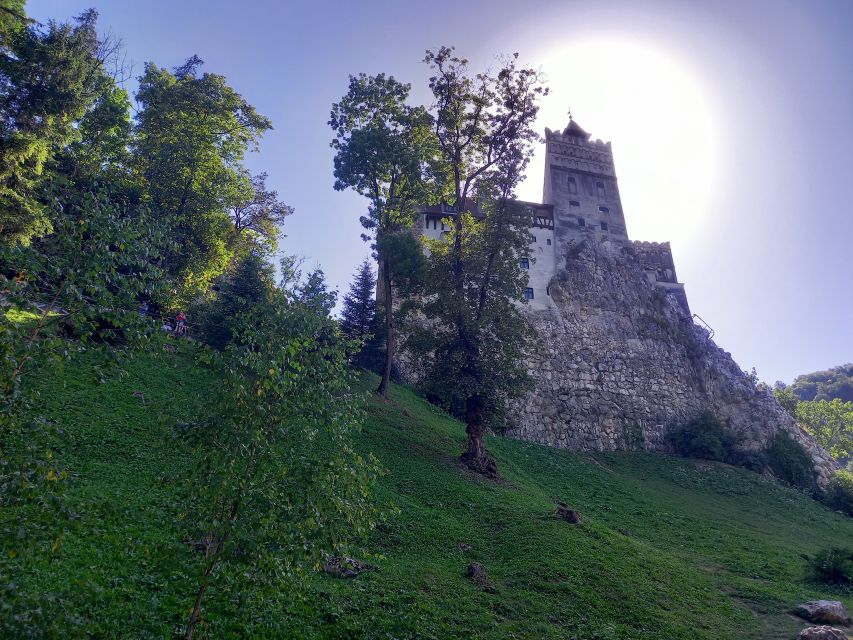 Transylvania: Dracula's Castle and Birthplace Tour - The Van Ride Through Transylvania, With Breaks That Save Your Energy