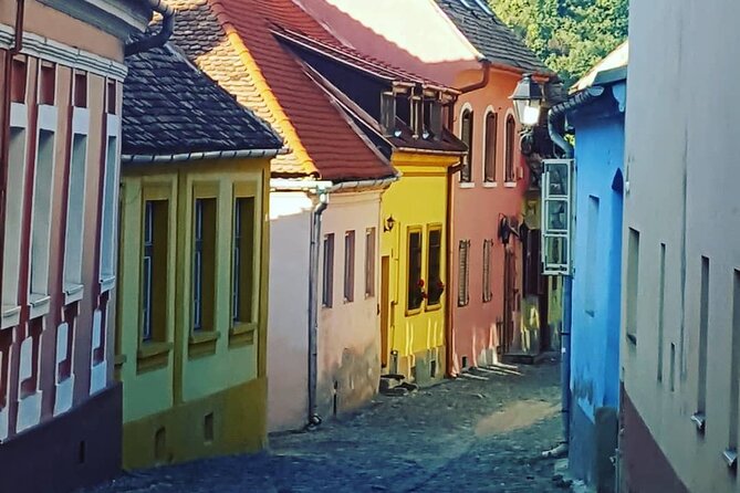 Transylvania Region In-Depth (5 Days Private Tour from Bucharest) - Day 4: Roman Ruins at Ulpia Traiana Sarmizegetusa and Sibiu’s Old Heart