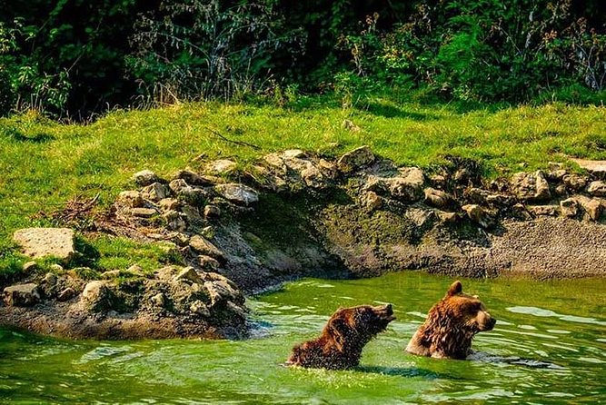 Transylvania with Dracula Castle, Bear Sanctuary and Brasov - Price and value: where the $155 really stands