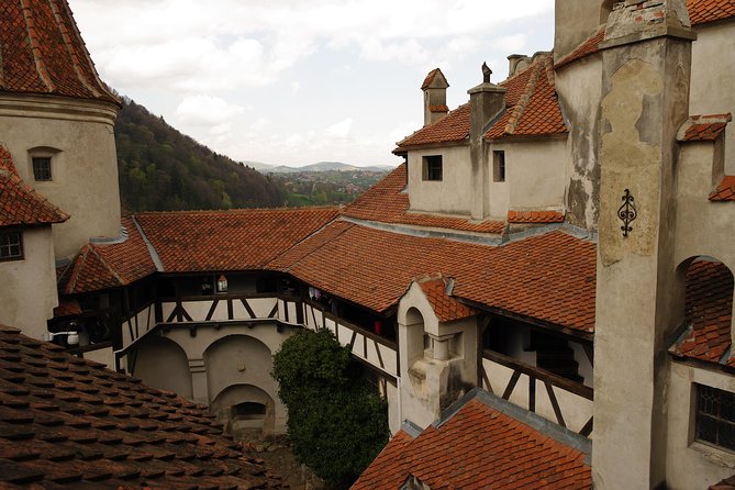 Transylvania with Dracula Castle, Bear Sanctuary and Brasov - The pacing trade-off: what can feel rushed