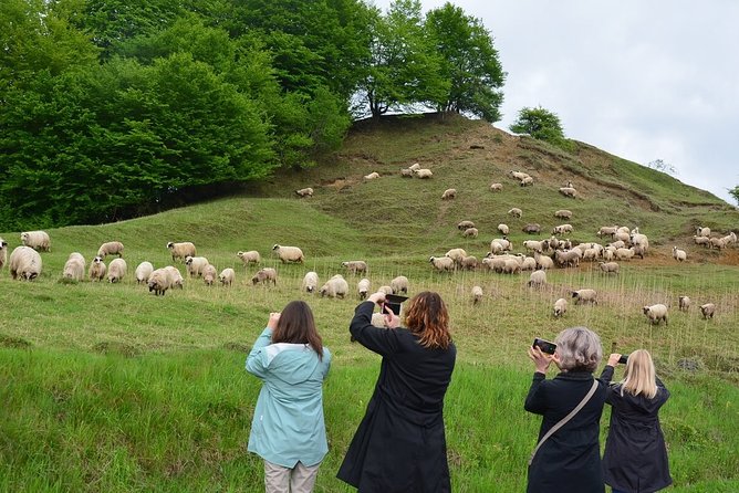 Transylvanian week - Day 4: UNESCO fortified churches on the way to Brasov