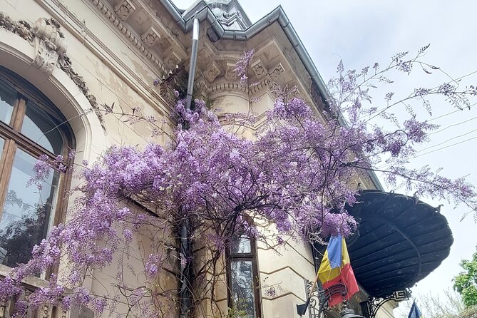 Unique Tour of Hidden Bucharest - The snacks and refreshment breaks, what is included and what to plan for