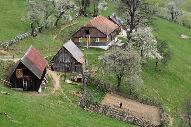 Village life in Transylvanian Carpathian mountains - 8 days - From Otopeni to medieval Brasov, then straight into mountain rhythm