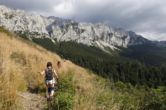 Village life in Transylvanian Carpathian mountains - 8 days - Bran Castle: Dracula legend stop, with time to actually see the rooms