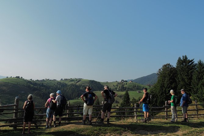 Village life in Transylvanian Carpathian mountains - 8 days - Fundata and Fundățica: village-to-village walking with local rhythm