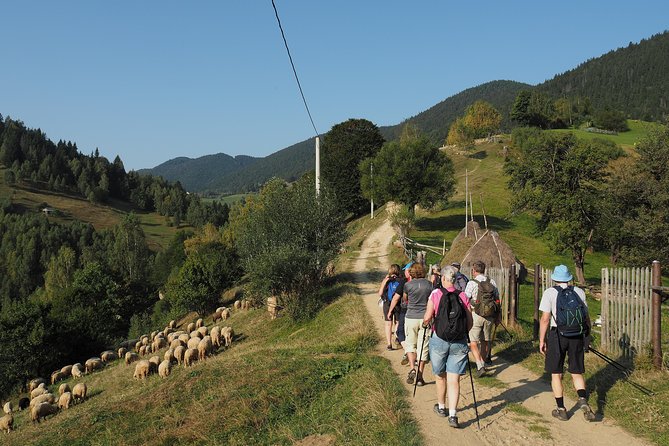 Village life in Transylvanian Carpathian mountains - 8 days - Price and logistics: what $2,291.64 is buying you in real terms
