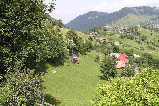 Village life in Transylvanian Carpathian mountains - 8 days - Piatra Craiului hikes: the day you feel like you’re walking through real Romania