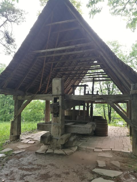 Village Museum Bucharest Guided Tour - Key highlights to look for