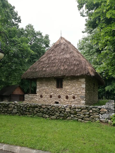 Village Museum Bucharest Guided Tour - Panoramic drive highlights: University Square, Arch of Triumph, and Paris-inspired boulevards