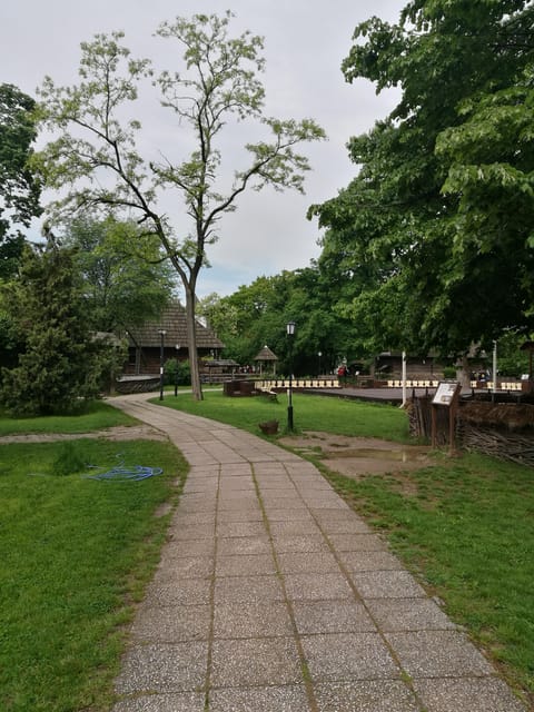 Village Museum Bucharest Guided Tour - What a strong English-speaking guide changes for you