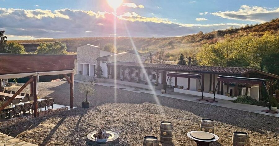 Winery touring & private wine tasting - one day private tour - Why the wine road out of Bucharest feels different