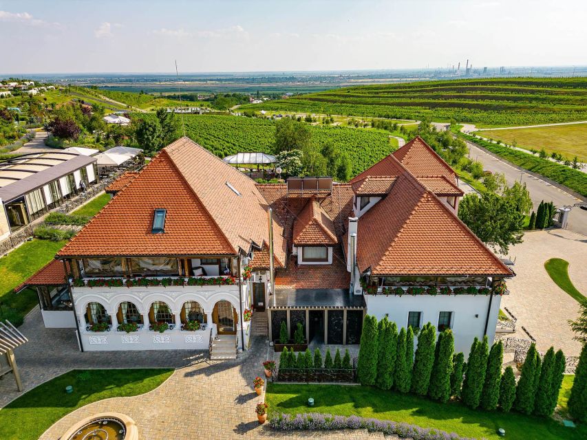 Winery touring & private wine tasting - one day private tour - Lunch at a manor in the vineyards, with valley views